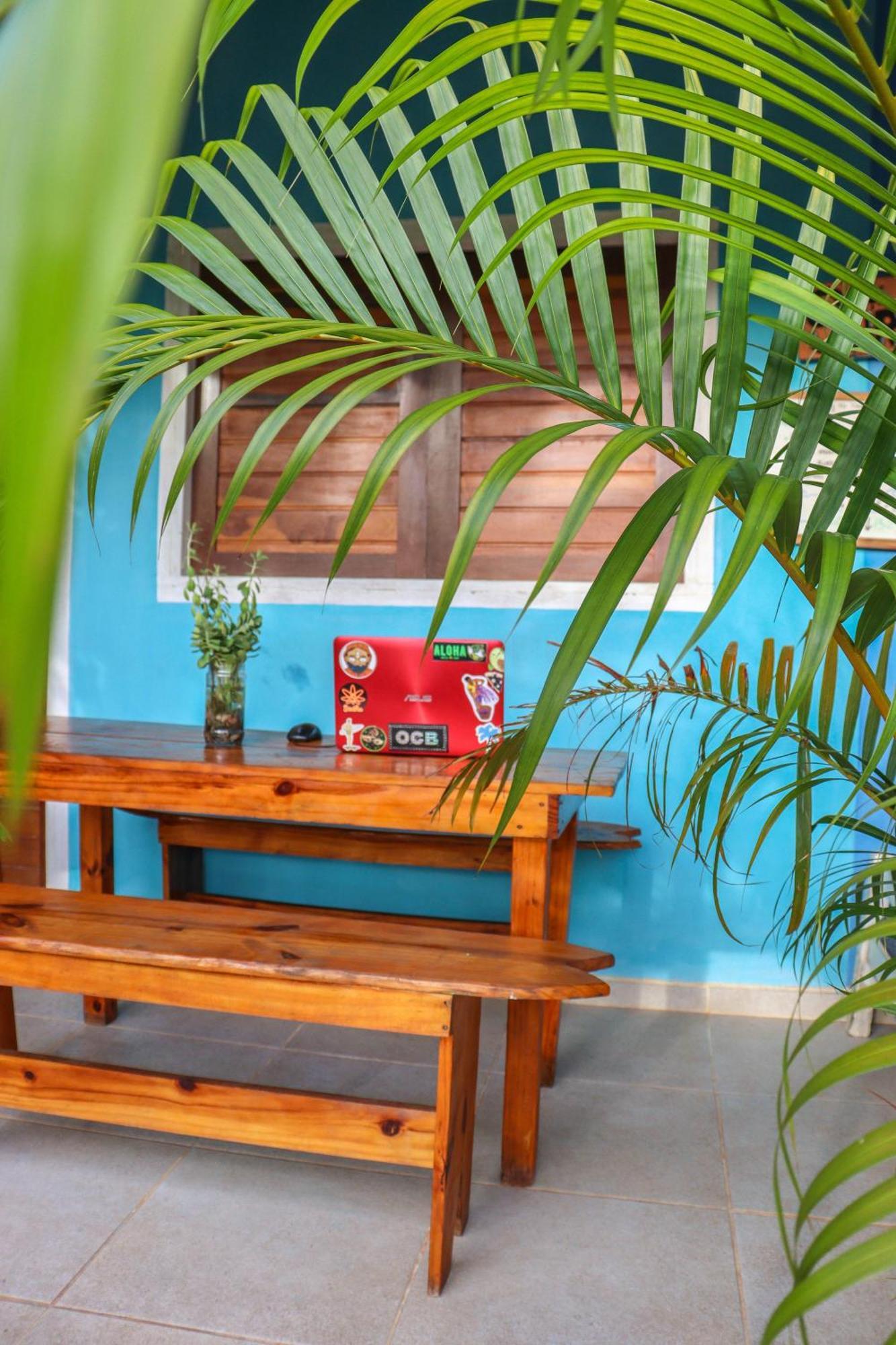 Back To The Beach Hostel - Pipa Praia de Pipa Bagian luar foto